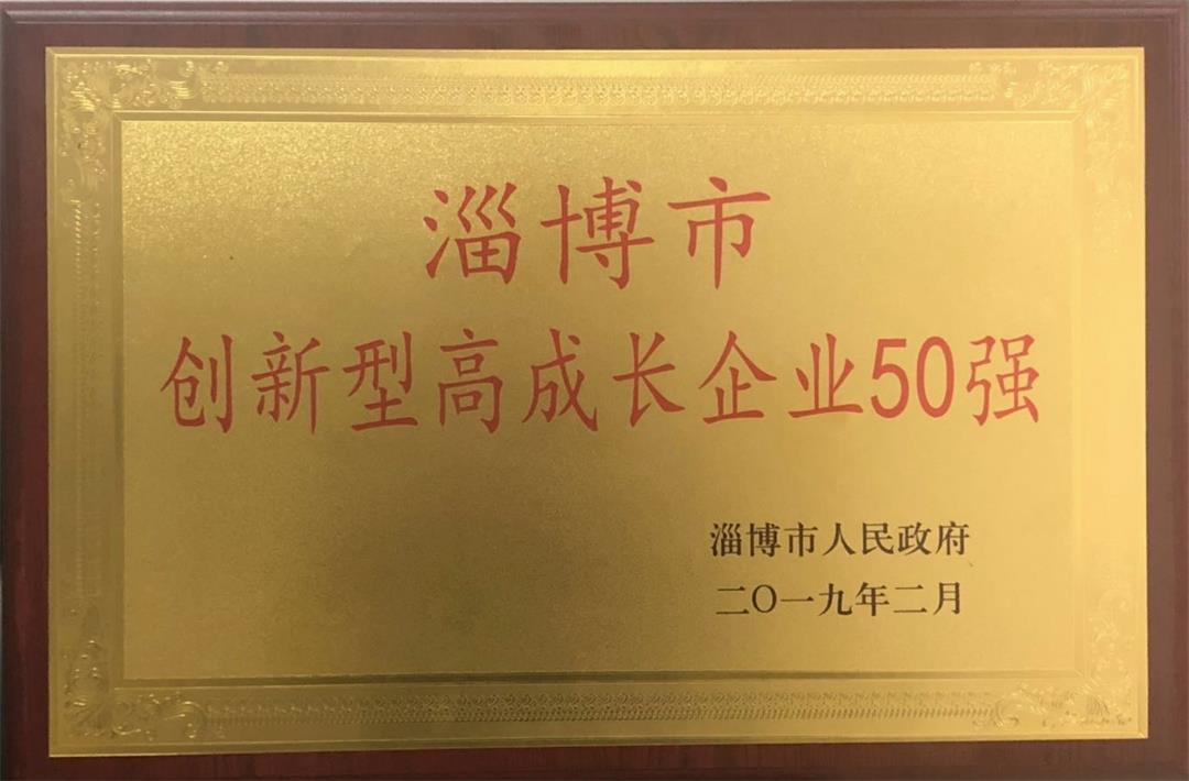 淄博市創(chuàng)新型高成長企業(yè)50強
